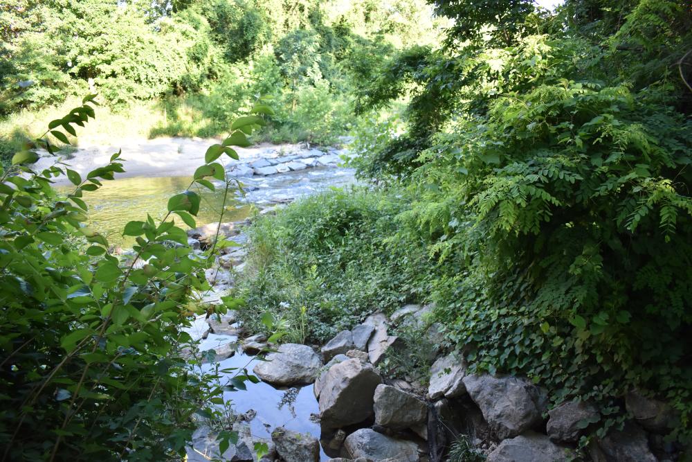 Stream at UMD
